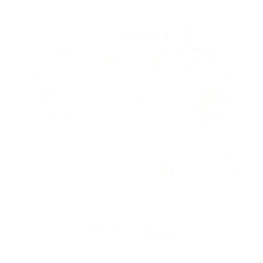 White Elephant — the Muay Thai team