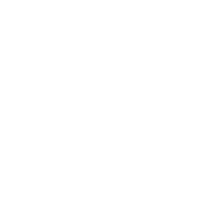 Phoenix — the Taekwondo team
